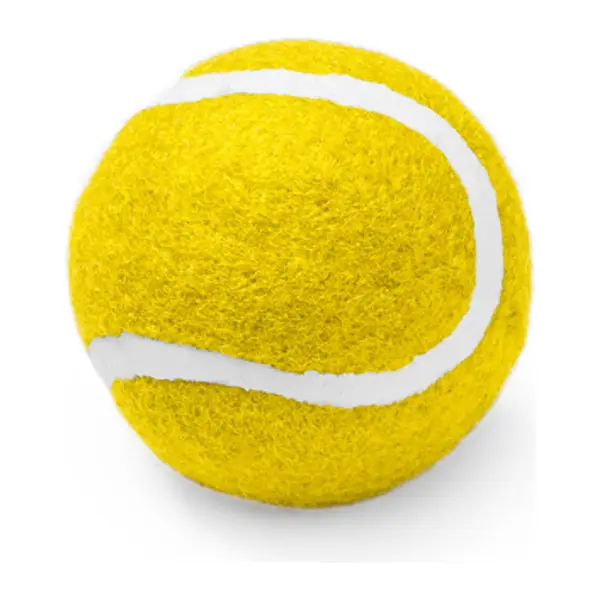 Teniszlabda házikedvenceknek