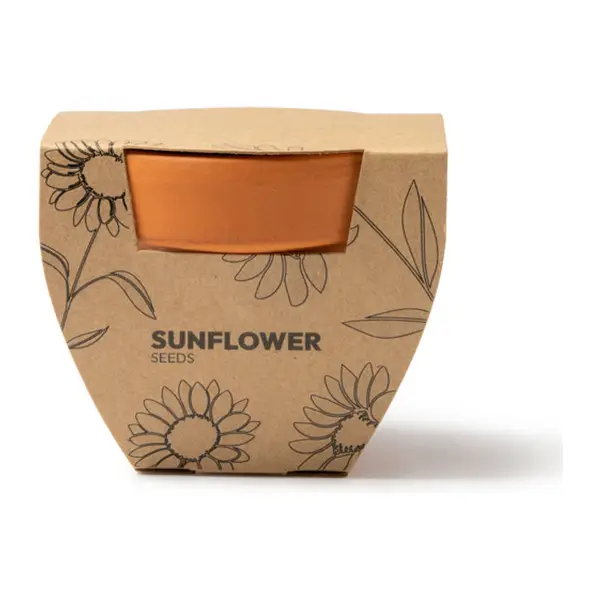 Kerámia virágcserép napraforgómaggal.