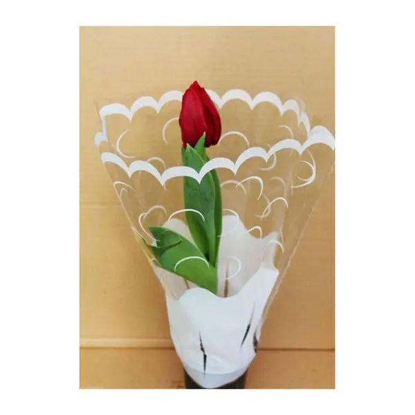 Nárcisz/Jácint/Tulipán/Gerbera celofánban