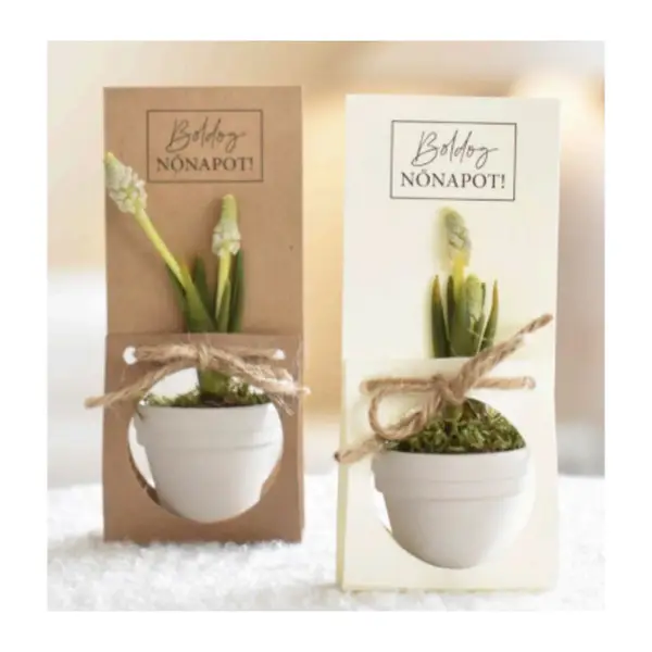 Élő viragos mini kaspó kártyával