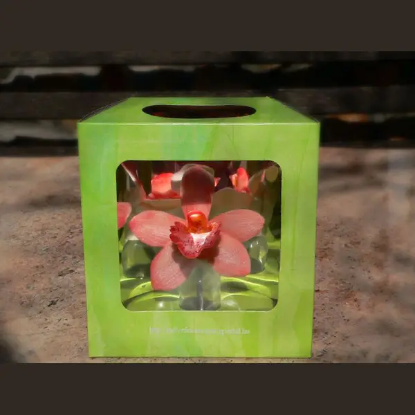 Orchidea ablakos díszdobozban